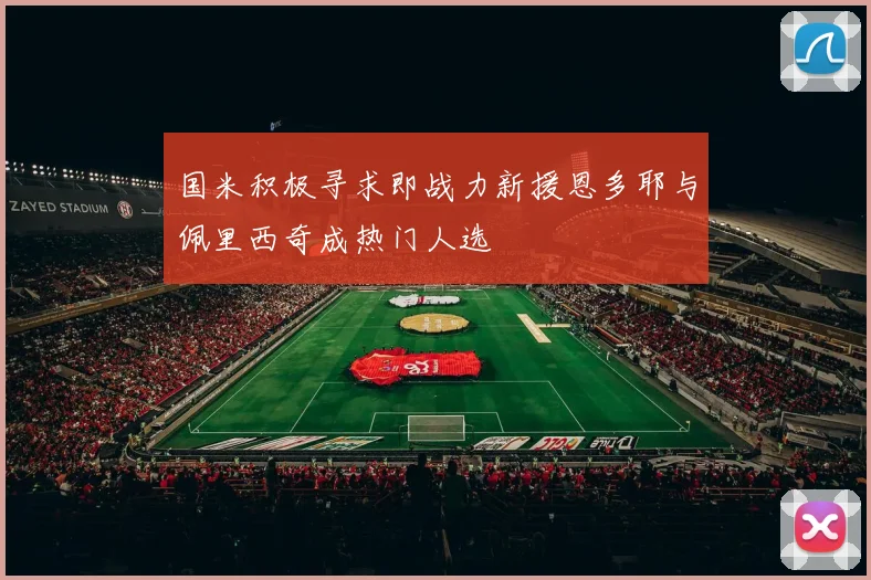 国米积极寻求即战力新援恩多耶与佩里西奇成热门人选